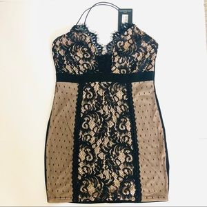 Prettylittlething Black Lace Elegant Sexy Dress